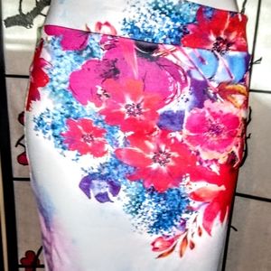 Disorderly Conduct Closet... Skirts